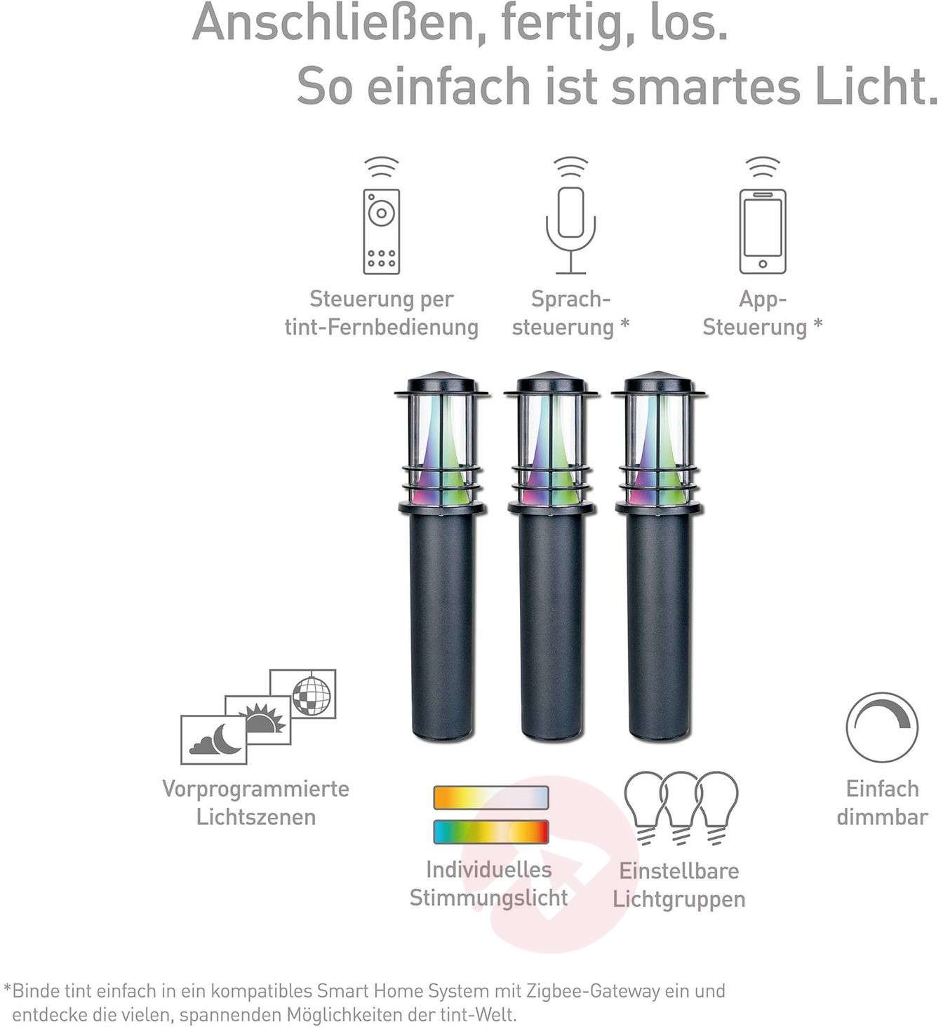 TINT Müller Licht tint Petunia słupek ogrodowy 3 szt.