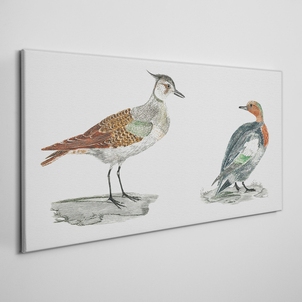 PL Coloray Obraz na Płótnie Zwierzęta Ptaki 140x70cm