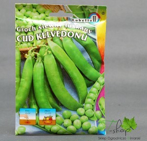 Lobelia Groch Siewny Łuskany CUD KELVEDONU 50g Nas000156