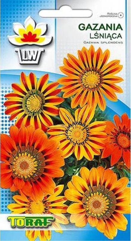 Toraf KWIATY Gazania lśniąca nasiona 0,5g 00389