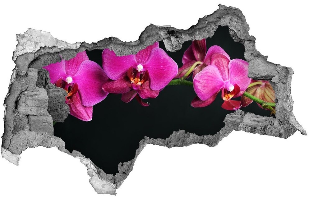 Wallmuralia.pl Samoprzylepna dziura naklejka Orchidea