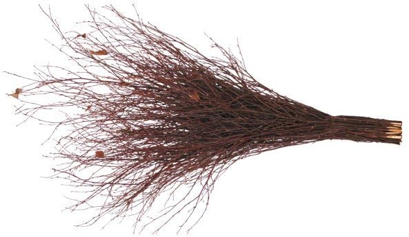 Miotła brzozowa 100 cm