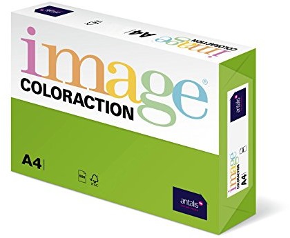 Antalis Własna colorac 838 A 160S 26   papier do kopiowania, DIN A4, 160 G/M, kolor: Java  maigrün 838A 160S 26