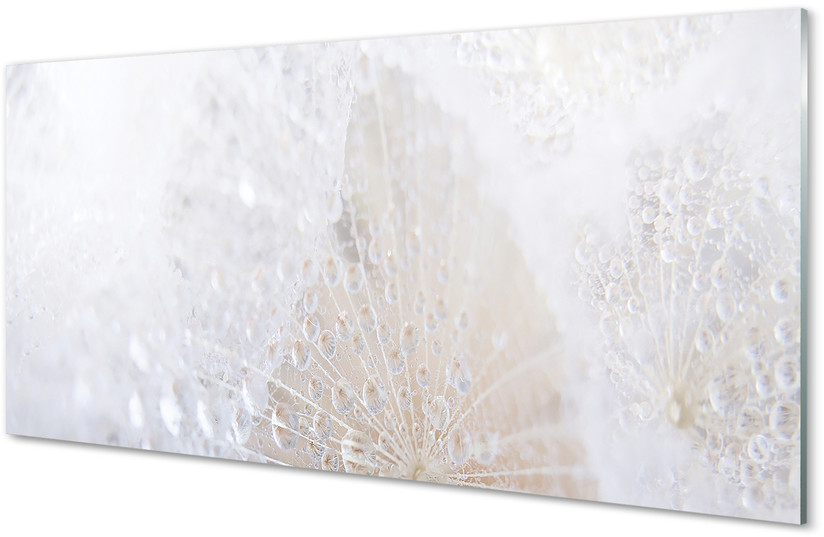 Tulup.pl Szklany Panel Krople dmuchawiec abstrakcja 125x50cm