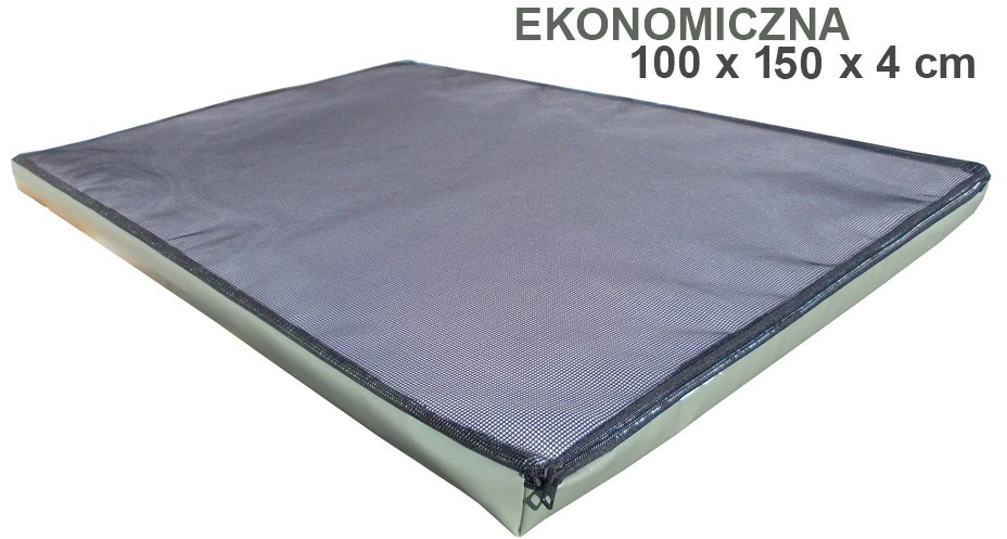 Mata Dezynfekcyjna, Ekonomiczna (100Cm X 150Cm X 4Cm) Zielony 4 Cm.