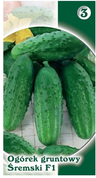 Nasiona ogórek gruntowy śremski F1 1 5 g 01987