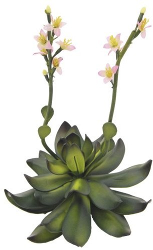 Europalms Euro Palms 82530572 kamień: Róża, EVA, 32 cm, Pink 82530572