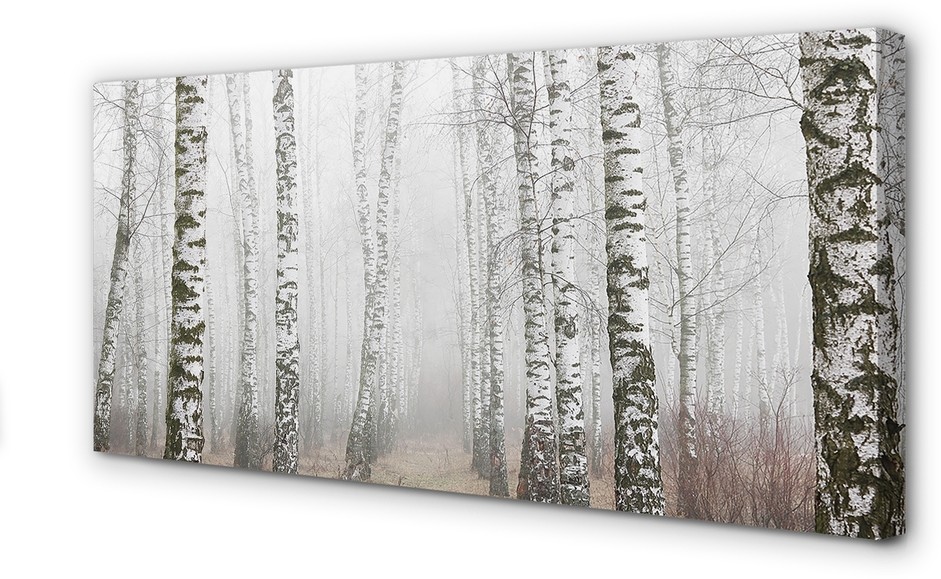 PL Tulup Obrazy na płótnie Mgła brzozy 140x70cm