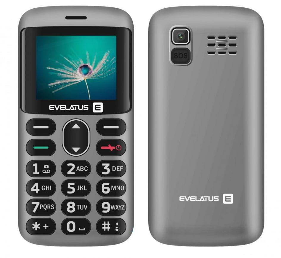Evelatus Aron 2020 Dual Sim Srebrny
