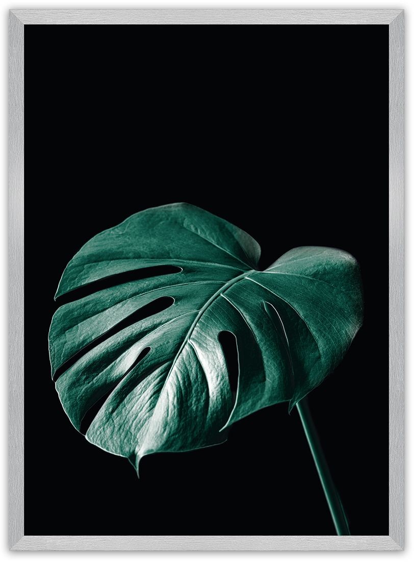 Dekoria Dekoria Plakat Dark Monstera 30 x 40 cm Ramka Srebrna 219B-000-21