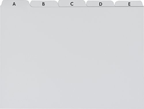 Brunnen 102377580 karty informacyjno-kierowania/fiszek Register (A-Z, tworzywo sztuczne, A5) Szary 102377580