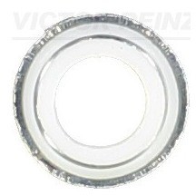 REINZ Uszczelniacz, trzonek zaworu 70-25792-00