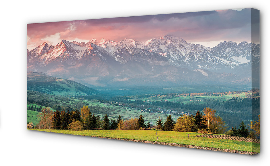 PL Tulup Obrazy na płótnie Góry pola 120x60cm