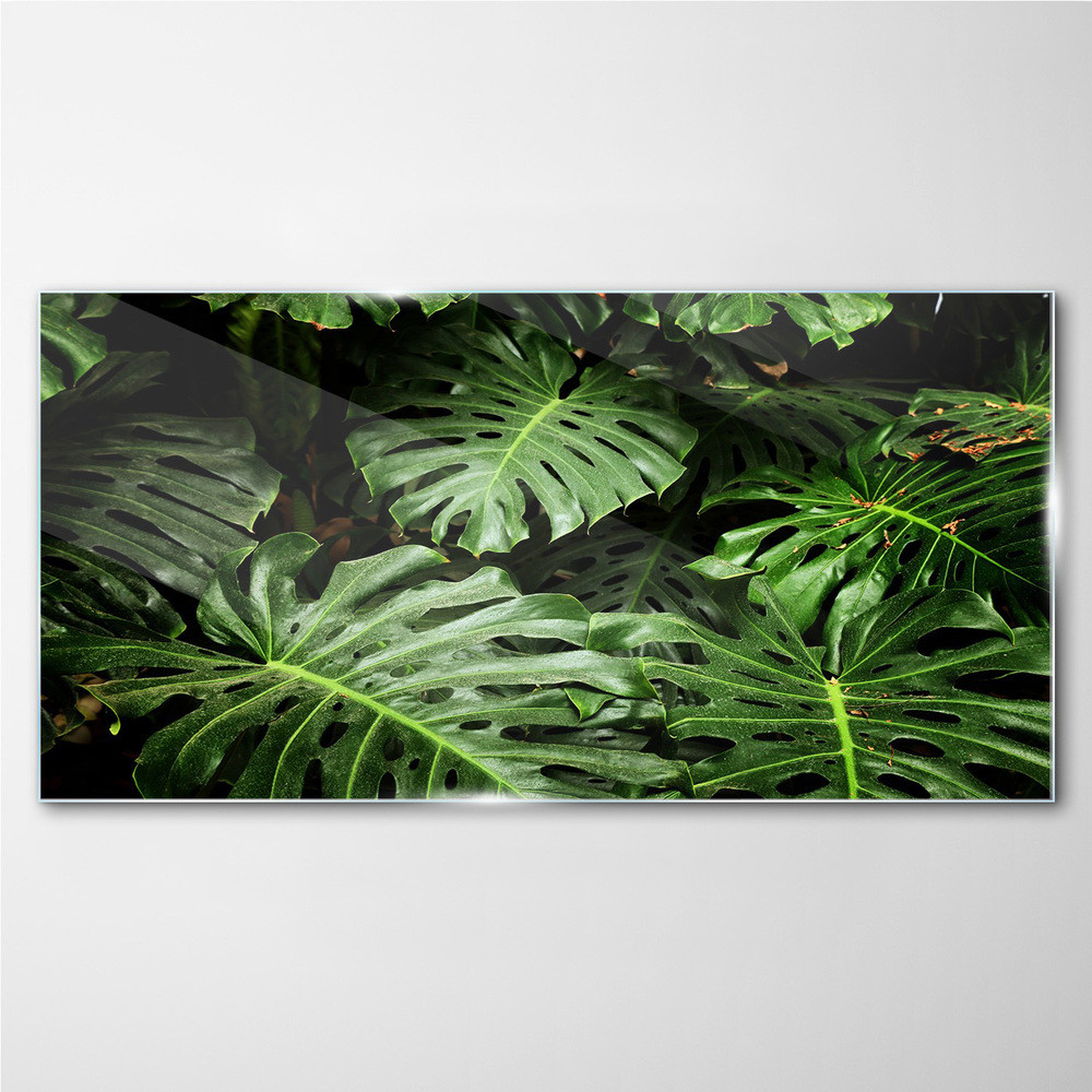 PL Coloray Obraz na Szkle Roślin Liście 100x50cm