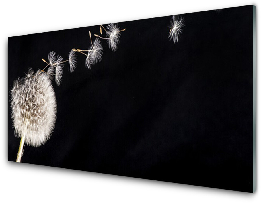 Tulup.pl Panel Szklany Dmuchawiec Kwiat Roślin 100x50cm