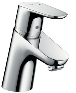 Hansgrohe Focus 31730000