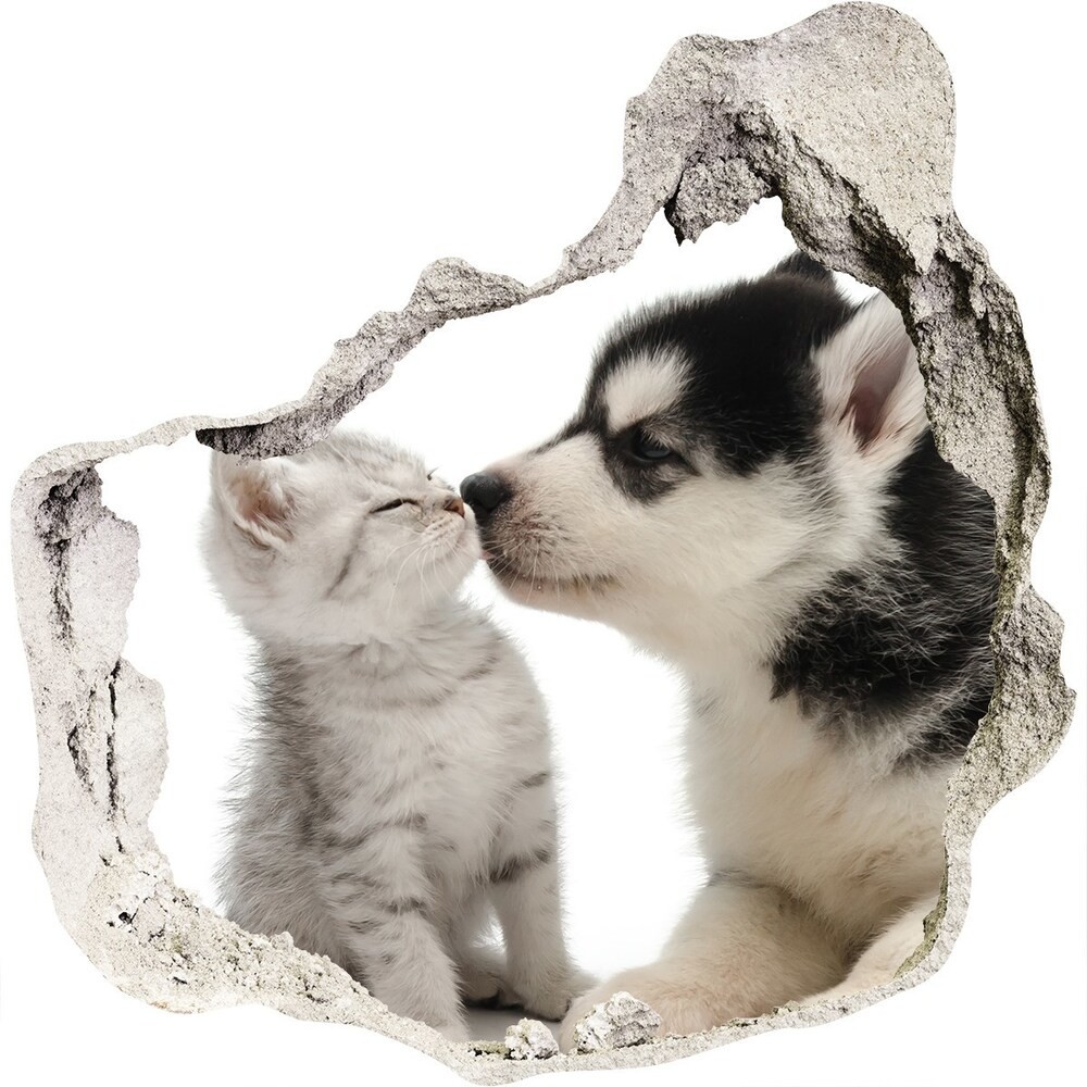 Wallmuralia.pl Dziura 3d fototapeta naklejka Pies i kot