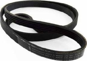 NoName PASEK KLINOWY 3L522 Czę000920