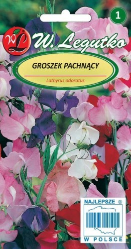 Legutko Groszek pachnący różne odmiany mieszanka 5903837207138