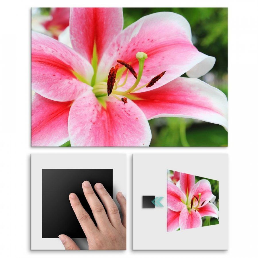 Pix4home Plakat metalowy rózowy kwiat M POS-M-01260