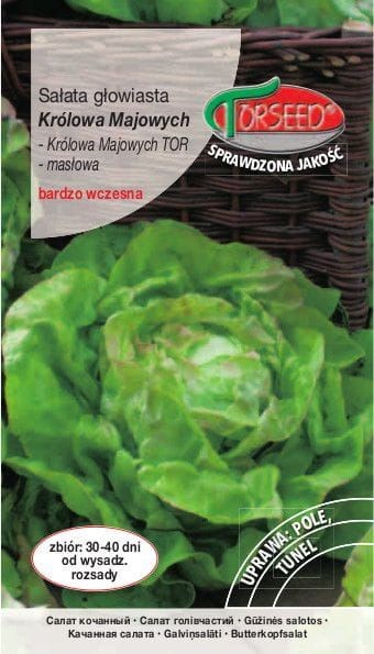Torseed Nasiona Sałata masłowa Królowa Majowych 2g Torseed6219