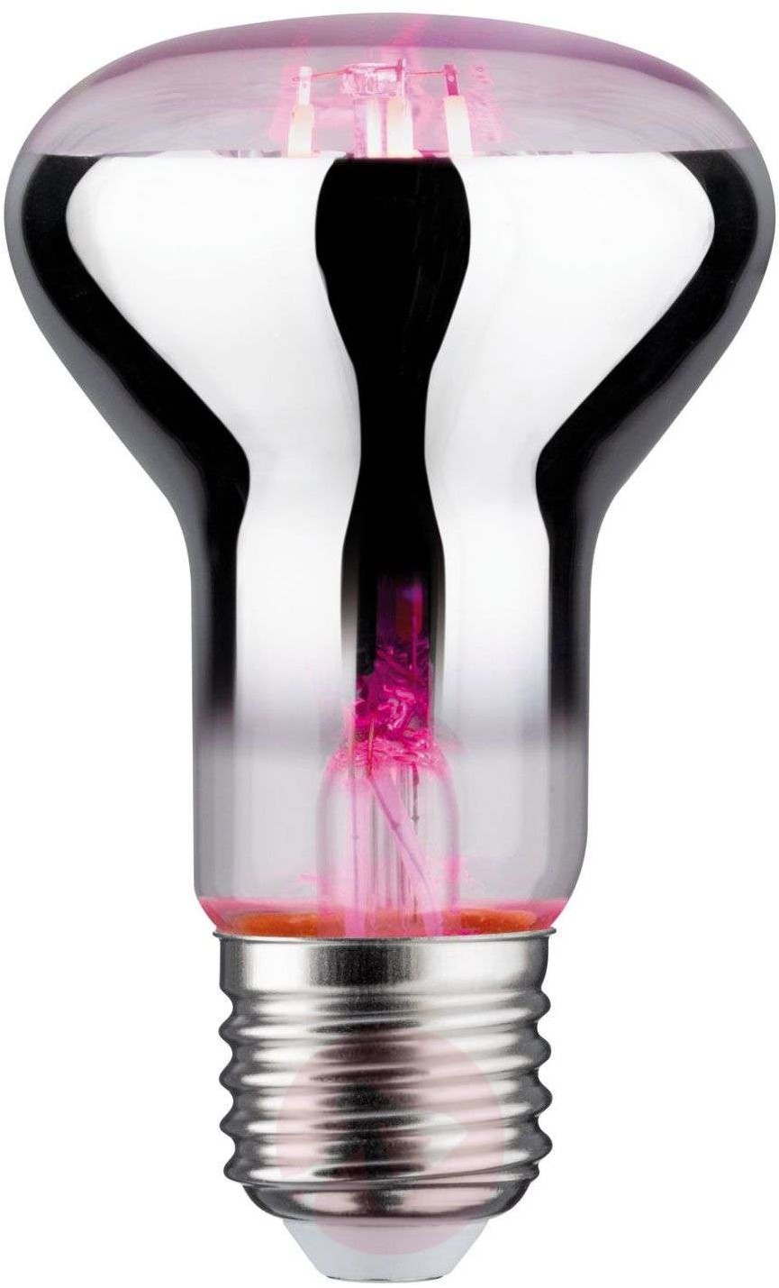 Paulmann Lampa do doświetlania kwiatów E27 R63 6,5W