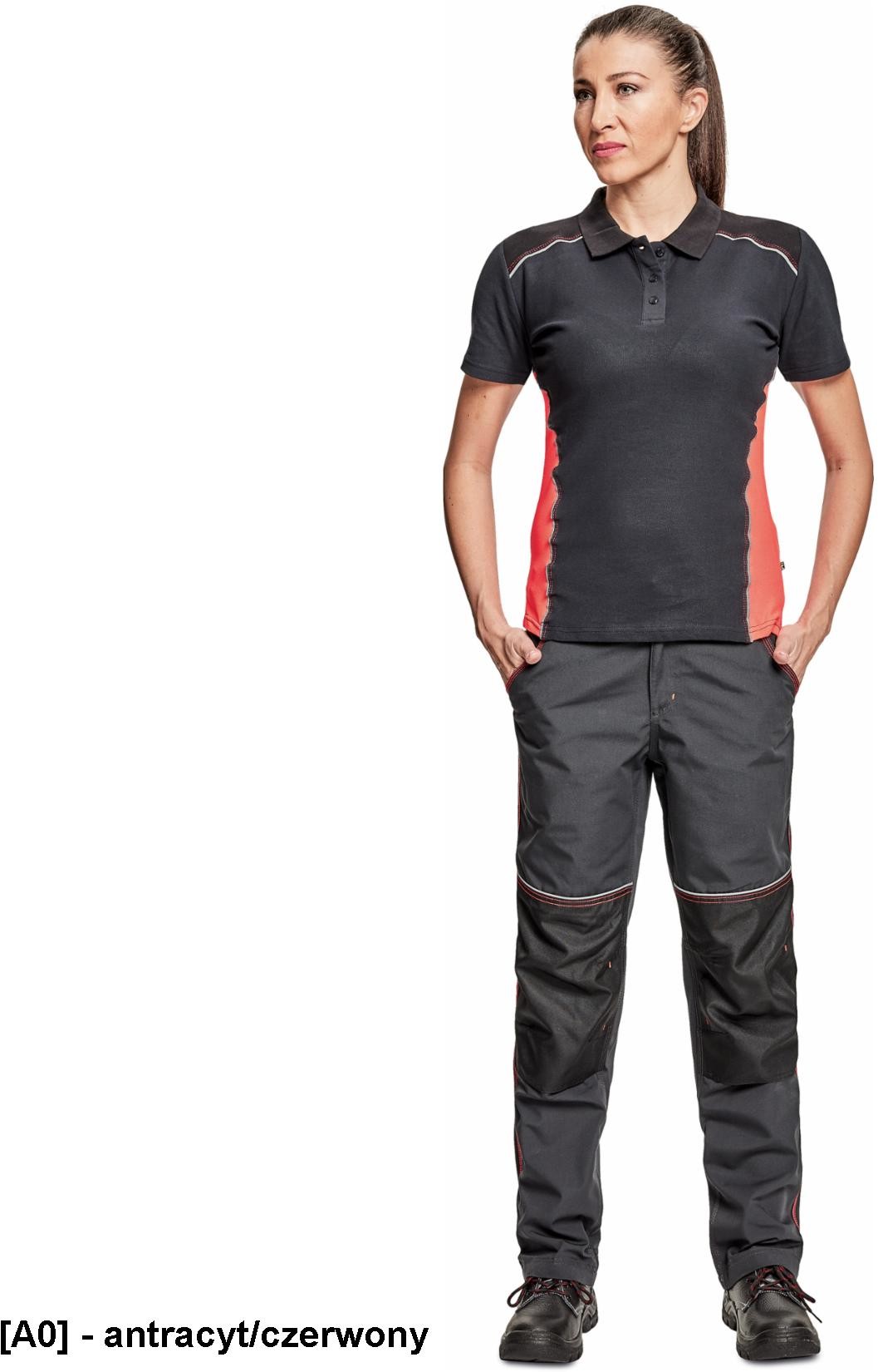 MALFINI KNOXFIELD LADY - KOSZULKA POLO - XS-XXL 03050047