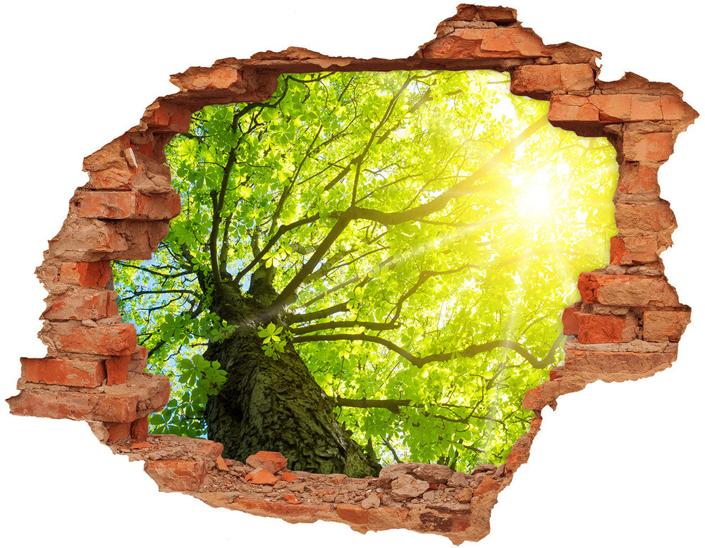 Wallmuralia.pl Samoprzylepna dziura naklejka Kasztan wiosną