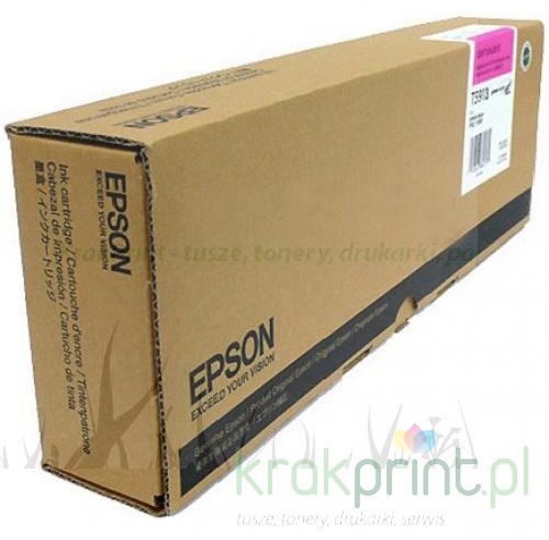 Epson C13T591600