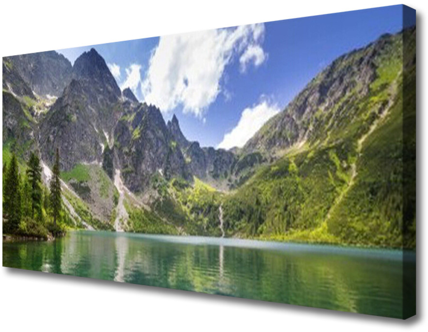 PL Tulup Obraz Canvas Góra Jezioro Krajobraz 100x50cm