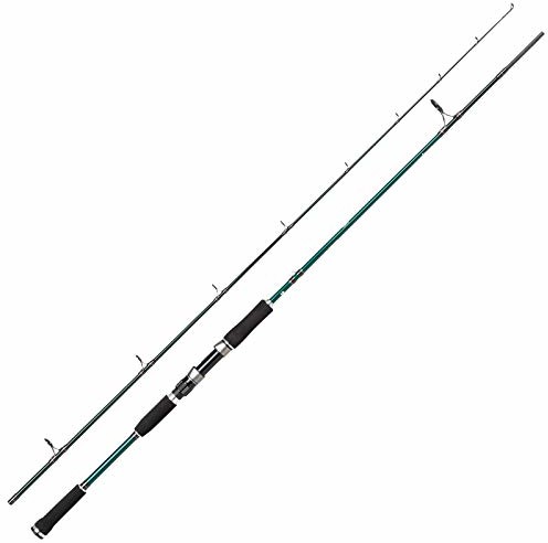 Abu Garcia AbuGarcia Beast X Wędka spinningowa - Wędka (2,36 m 40-80 g wirowania) 1528372
