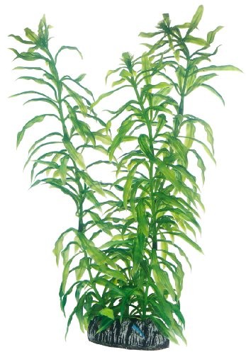 Hobby heterant Hera, 25 cm