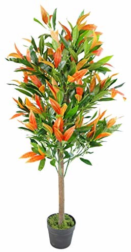 Leaf Artificial Red & Green Ficus Drzewo Drzewo Drzewo Drzewo Drzewo Drzewo Drzewo Drzewo Drzewo w kolorze Plain czarne plastikowe doniczki