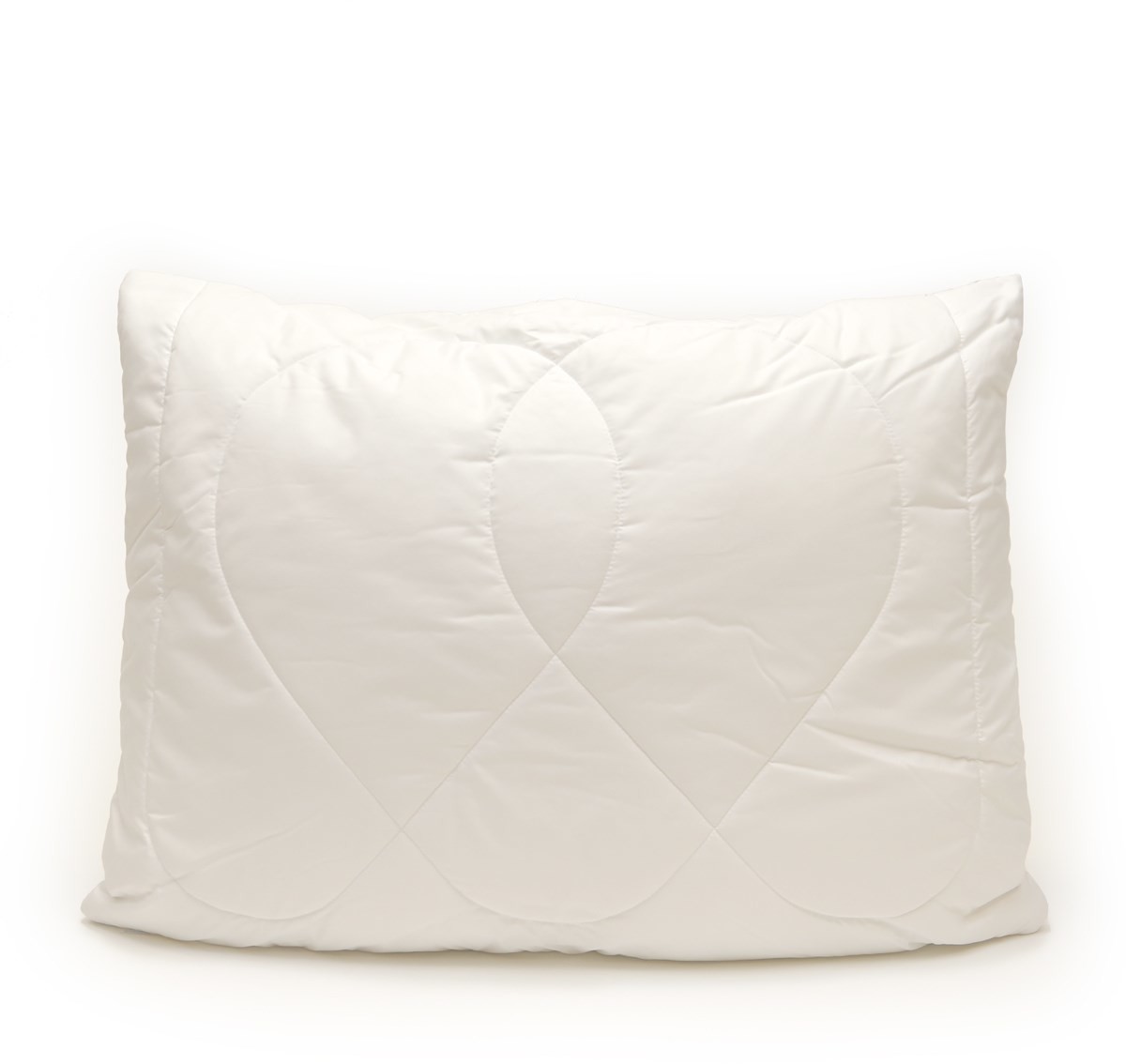 Kvalitex Poduszka Aloe Vera z zamkiem błyskawicznym, 70 x 90 cm