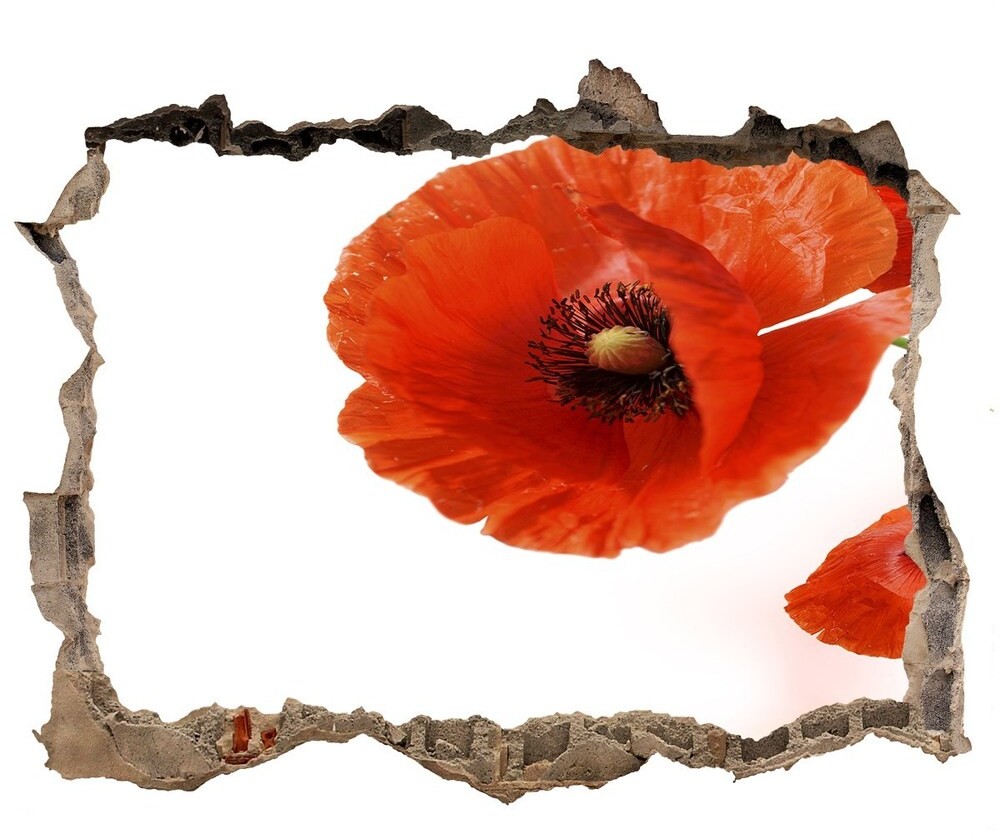 Wallmuralia.pl Samoprzylepna dziura na ścianę naklejka Maki