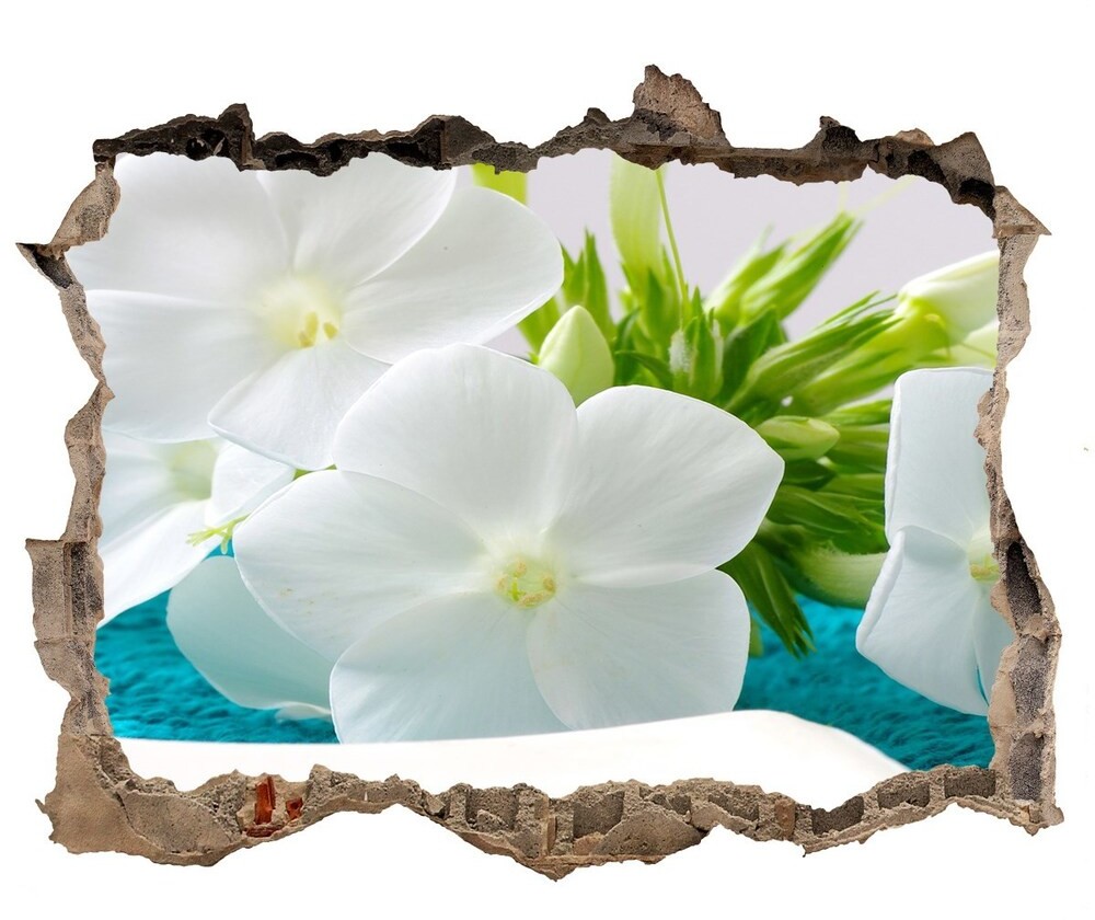 Wallmuralia.pl Fototapeta dziura na ścianę Białe kwiaty spa