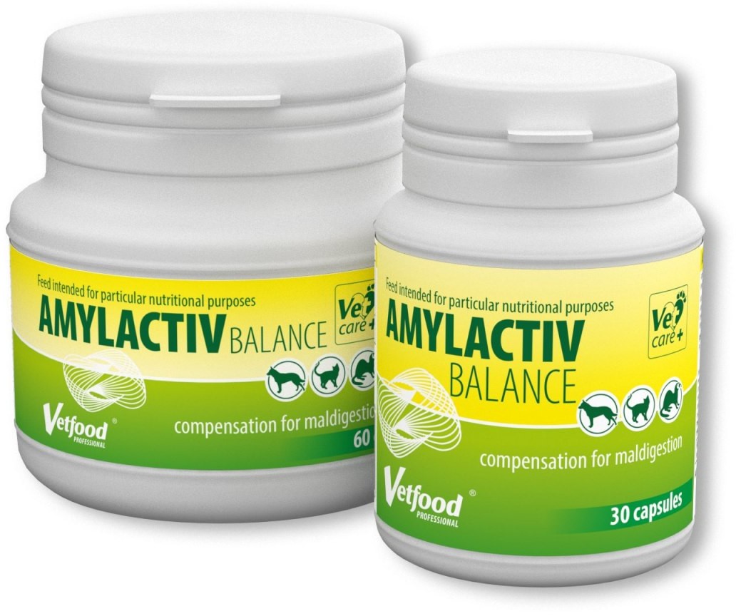 Vetfood Amylactiv Balance 30 kapsułek
