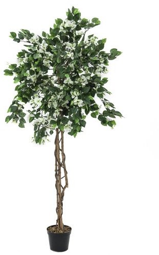 Europalms Euro Palms 82507086 bugenwilli Lea 180 cm, biały 82507086