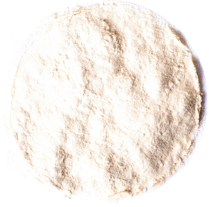 Planteon Baobab proszek 100g 2-0137-01-2