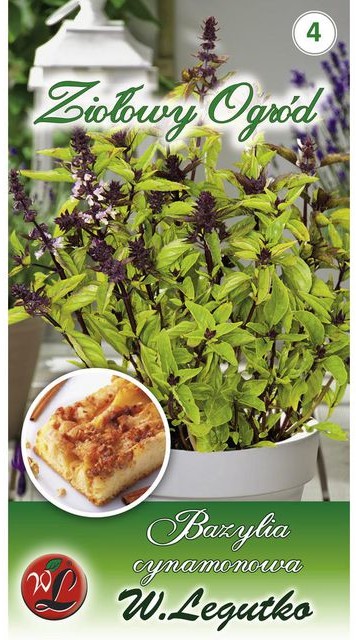 Legutko Bazylia właściwa CINNAMON