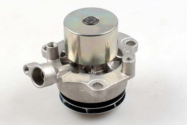 HEPU Pompa wodna P669M P669M