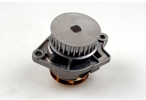HEPU Pompa wody P557