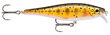 Rapala wobler BX Minnow 10,0 cm TR BXM10-TR