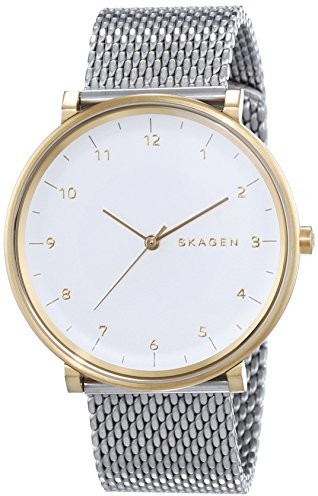 Skagen SKW6170