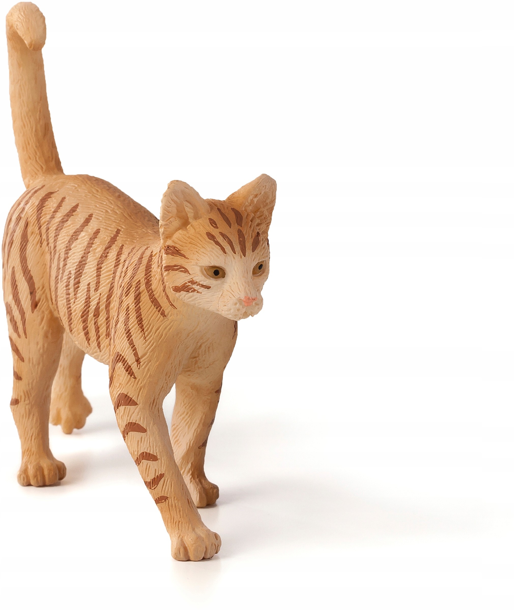 Animal Planet Rudy Kot Rasy Ginger Tabby 387283 M