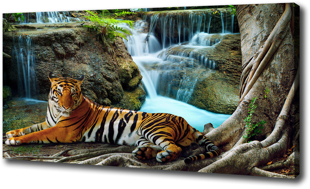 Foto obraz na płótnie Tygrys wodospad