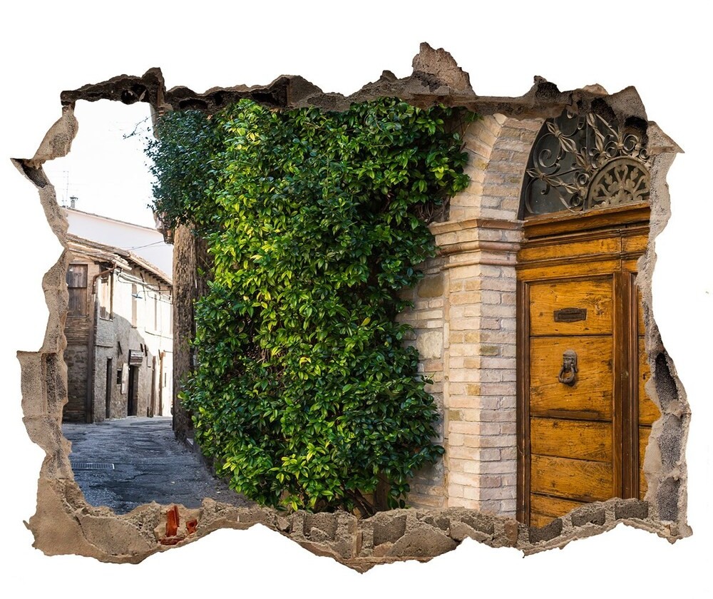 Wallmuralia.pl Fototapeta dziura na ścianę 3d Urokliwa uliczka