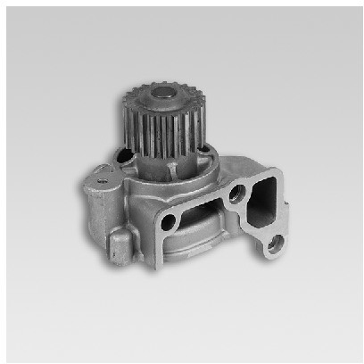 HEPU Pompa wodna P716
