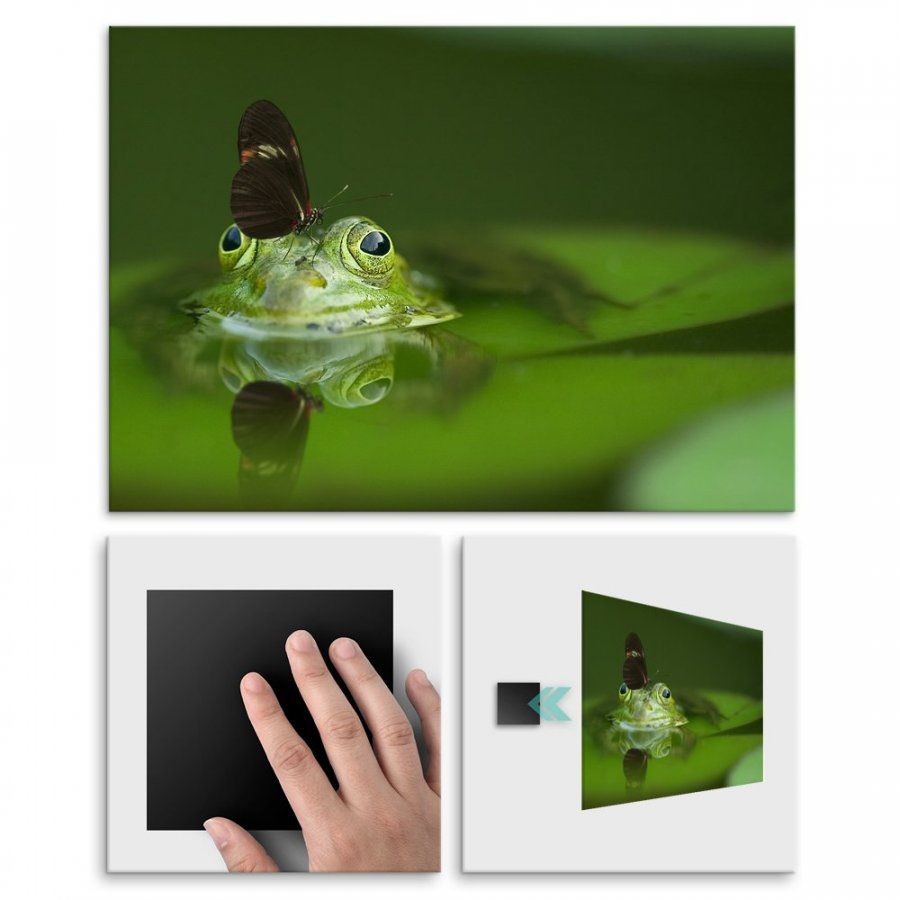 Pix4home Plakat metalowy żaba i czarny motyl M POS-M-01861