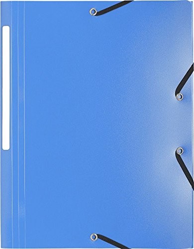 Exacompta 55822e spoiwo (3 klapy, gumowym ściągaczem, PP 400, etykiety nieprzezroczysty, DIN A4) 3130630558101